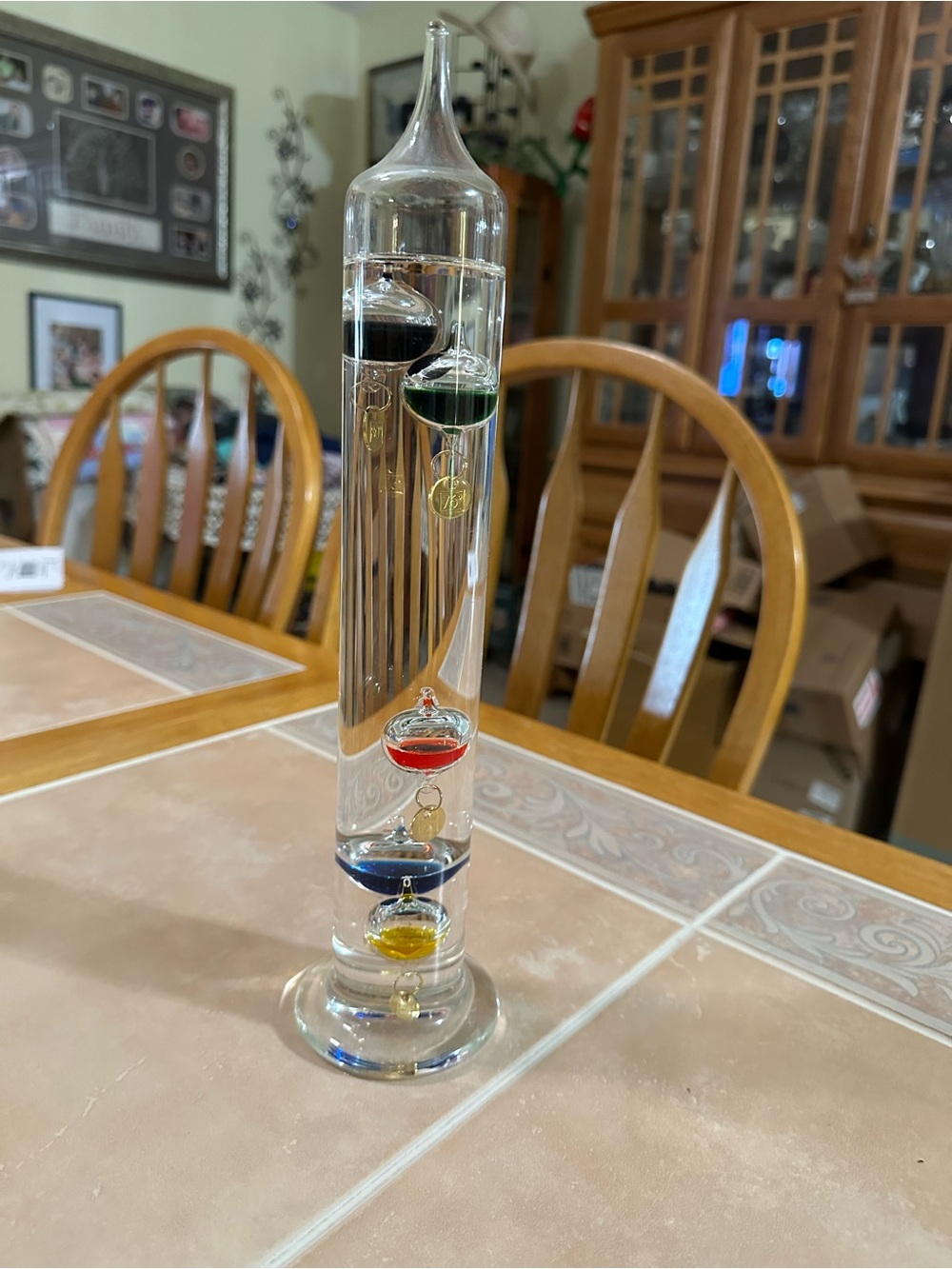 Glass Galileo Thermometer with Multicolor Floating Bulbs
